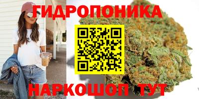 гидра Балахна