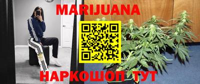 индика Балашиха