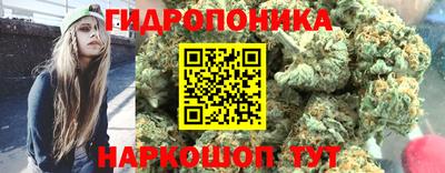 индика Балашиха