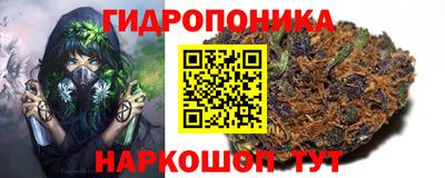 гидра Балахна