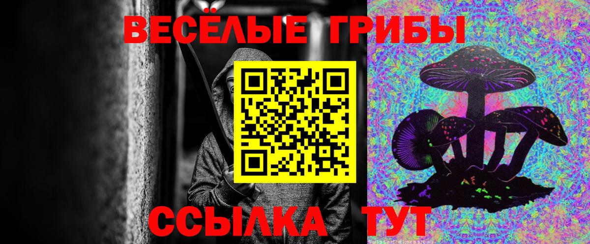 Псилоцибиновые грибы прущие грибы  Вход с VPN  Псилоцибиновые грибы Psilocybine cubensis  Гусев 