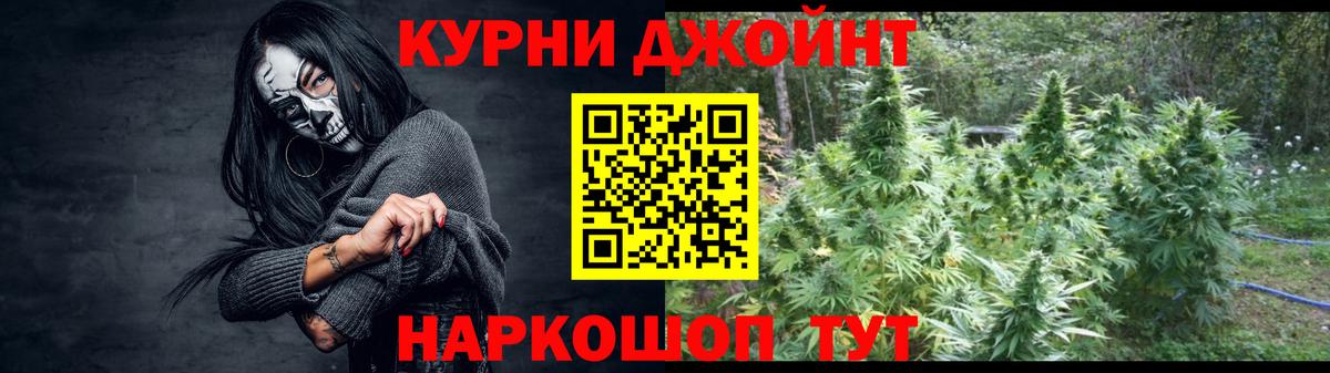 Каннабис гибрид Гусев